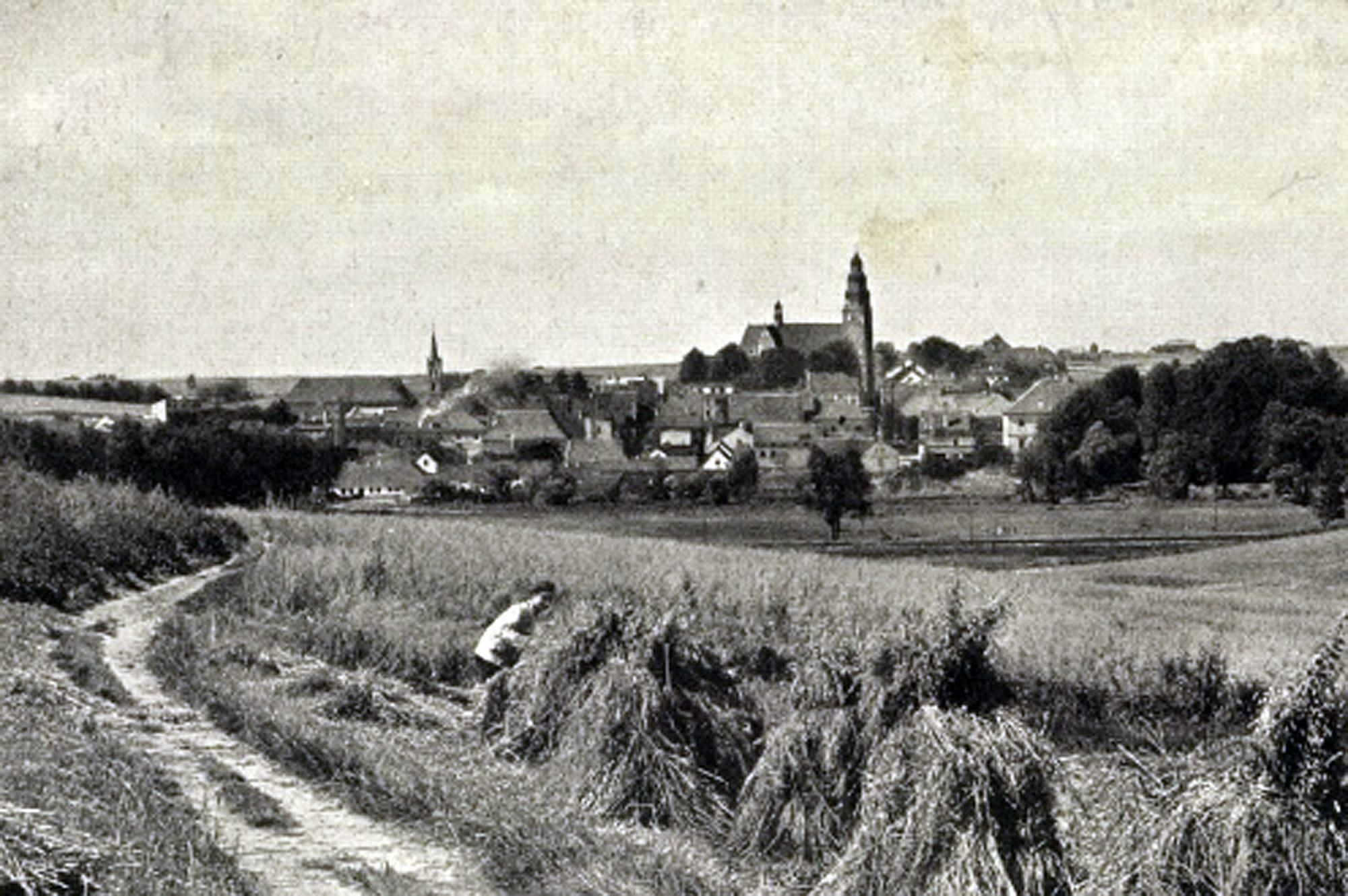 Do połowy XX wieku tereny dzisiejszych osiedli XXX-lecia, Piastów i Dąbrówki zajmowały pola uprawne
